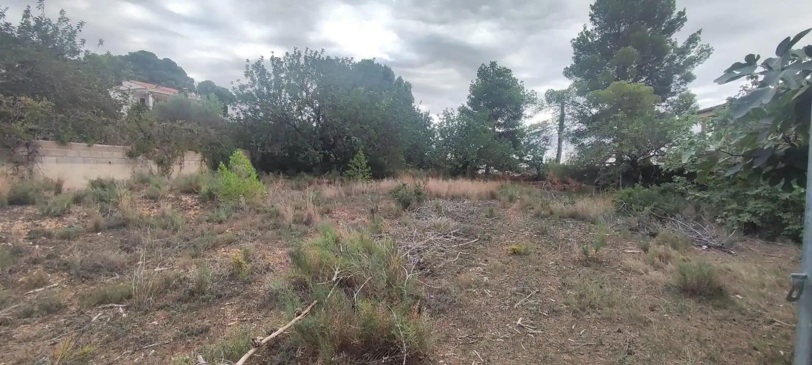 Residential land for sale in NUMERO 12 SAN GERARDO, imagen 5