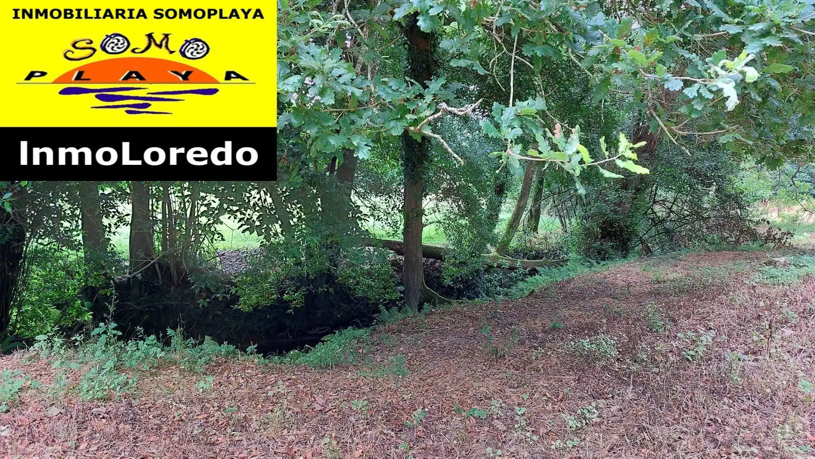 Terreni e lotti in vendita a Ribamontán al Monte, imagen 9