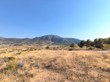 Terreny residencial en venda a Algueña
