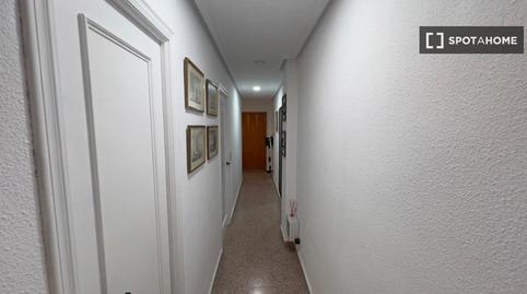Photo 4 of Apartments for share in Gran Playa, Santa Pola