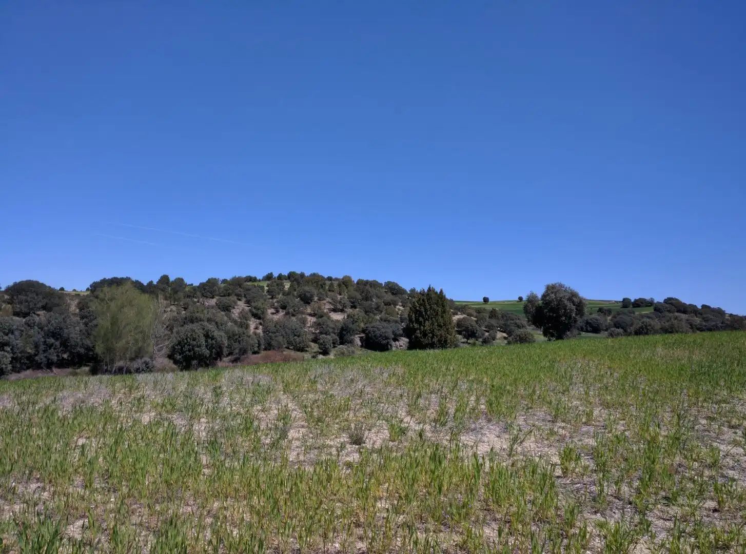 Residencial en venta en Turégano