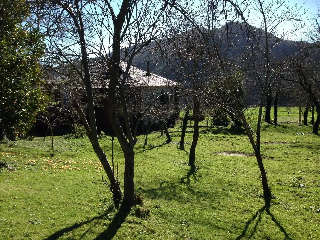 Casa con jardín en venta en Boal, imagen 9