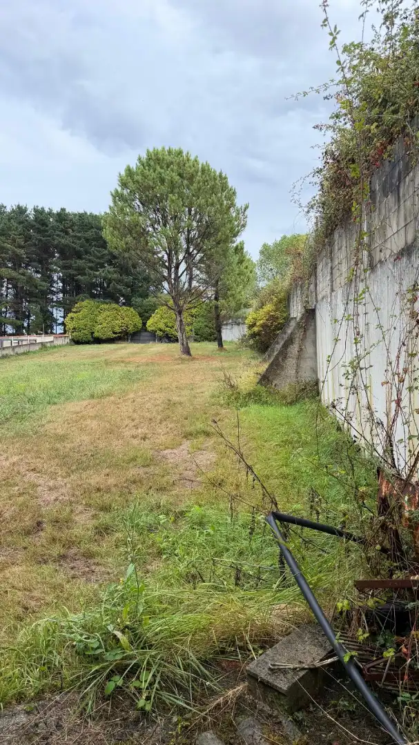 Rural land for sale in La Iglesia, imagen 14