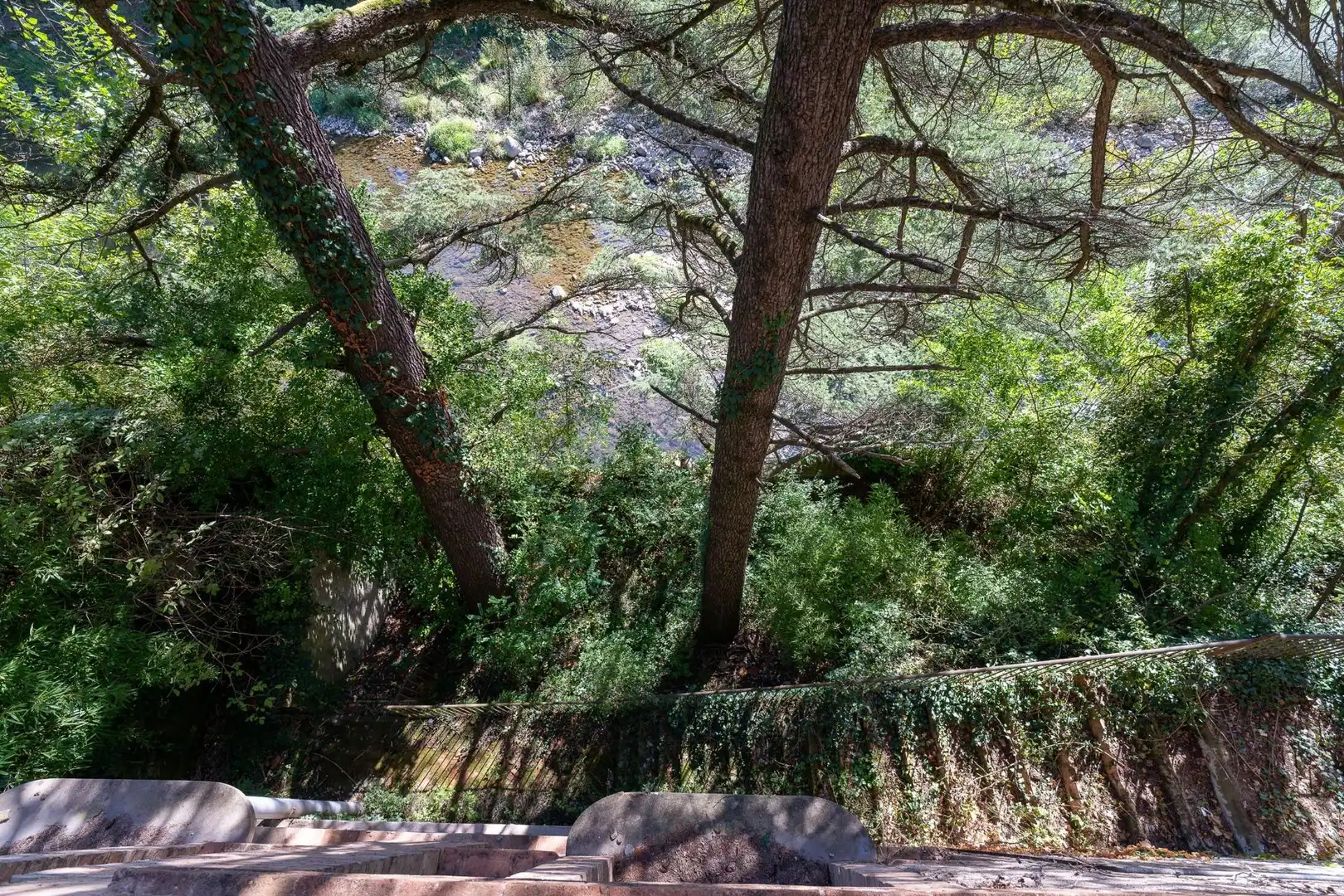 Vista exterior de Finca rústica en venta en Ripoll, Girona
