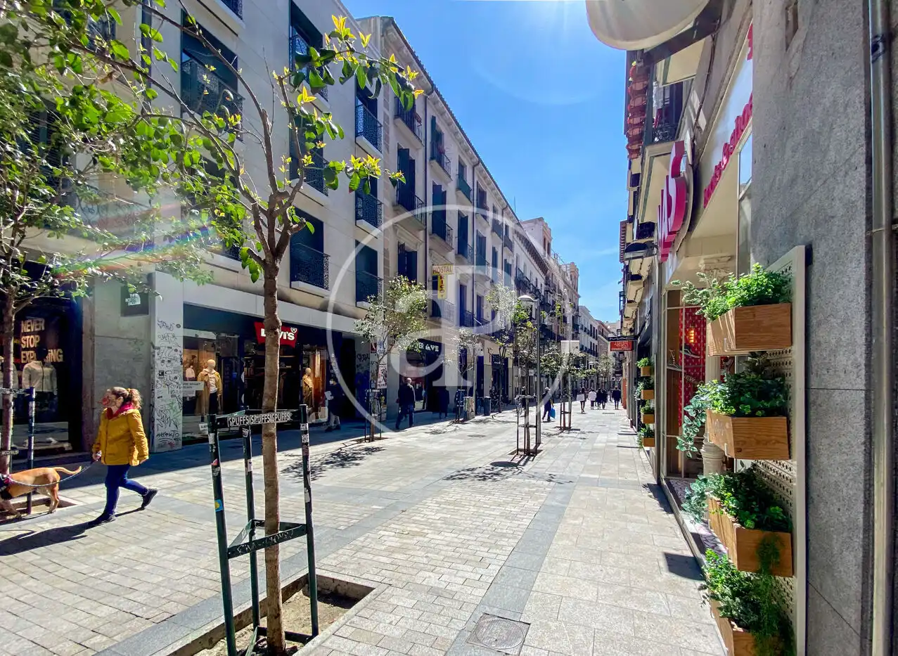 Exterior view of Flat for rent in Madrid  with Air Conditioner, Heating and Furnished