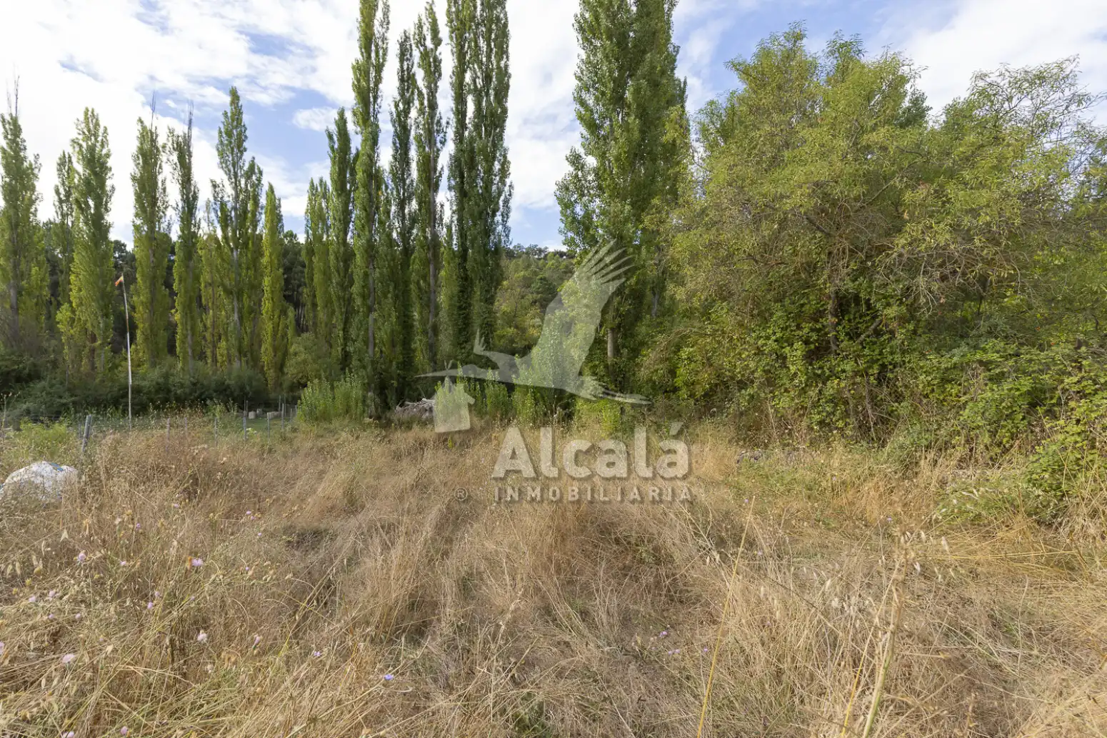 Terreno en venta en Hueva