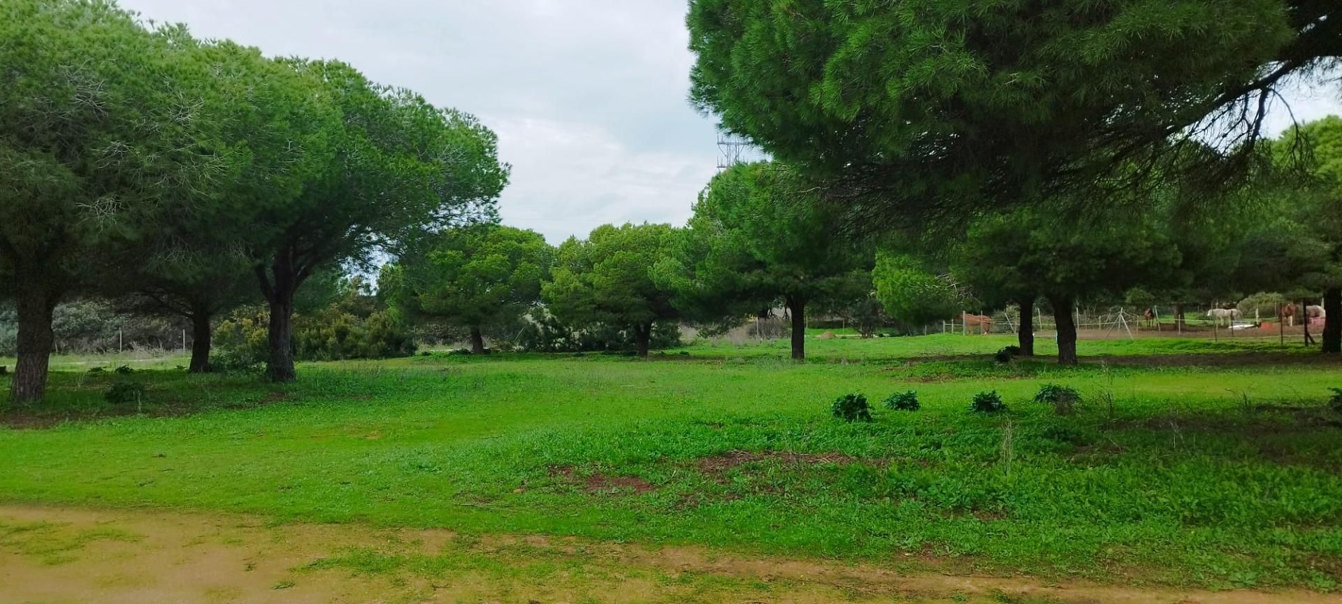 House or chalet for sale in Villanueva Golf