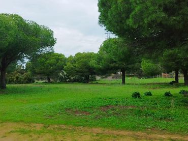Casa in vendita a Villanueva Golf