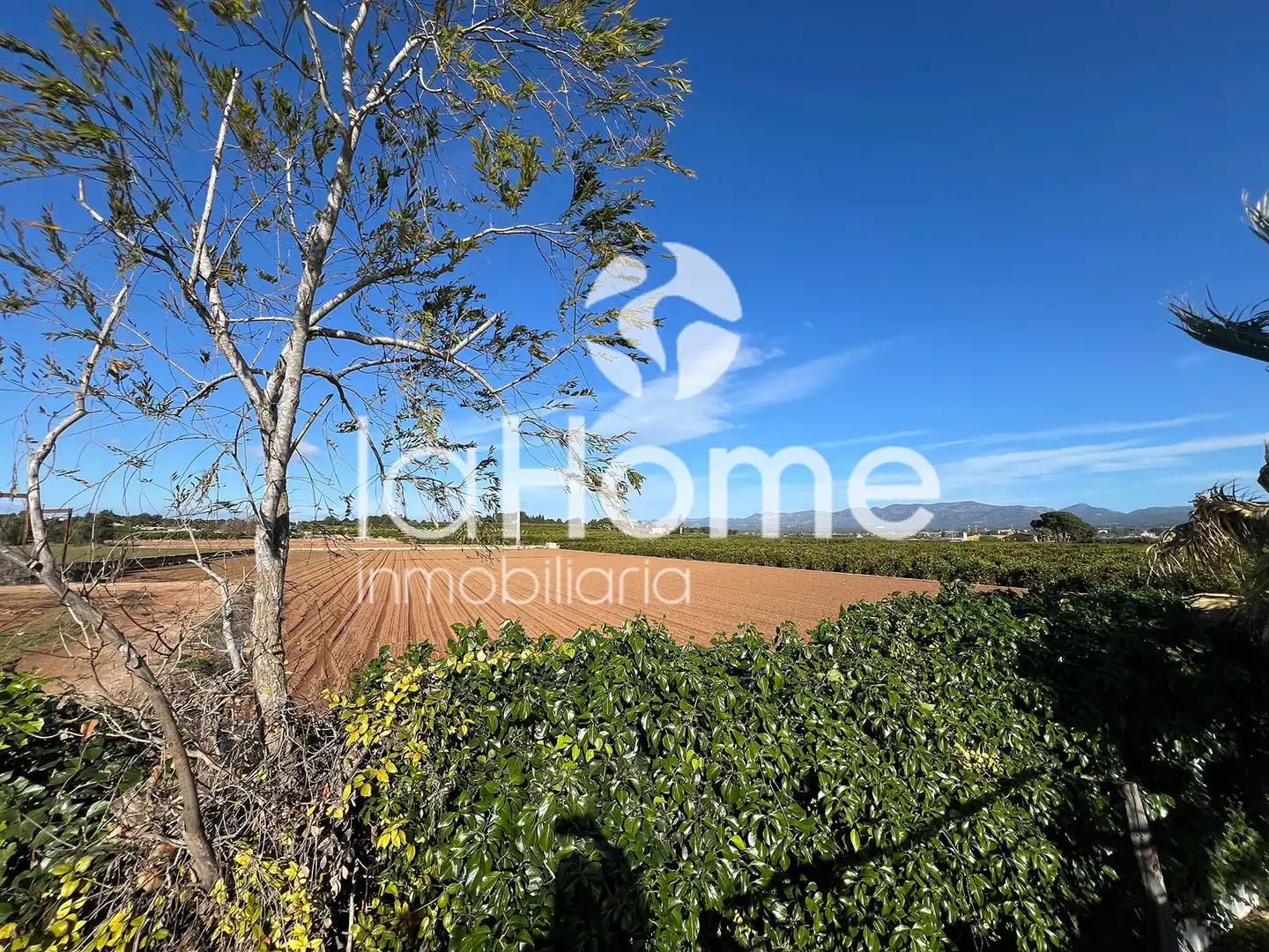 Houses for sale in Centro