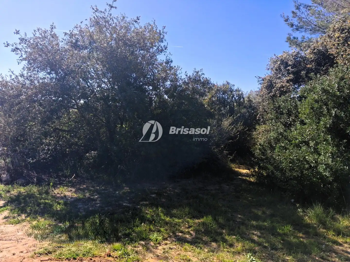 Rural land for sale in La Secuita, imagen 3