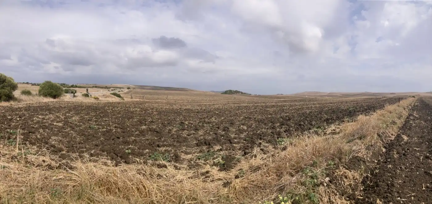 Terreni e lotti in vendita a Carretera vejer- el palmar