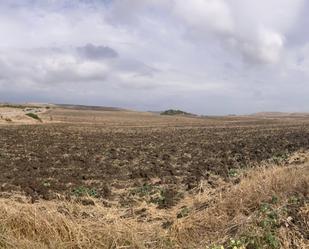 Land for sale in Vejer de la Frontera