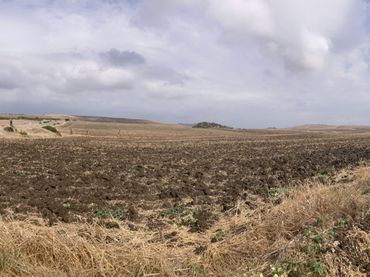 Rural land for sale in Carretera vejer- el palmar