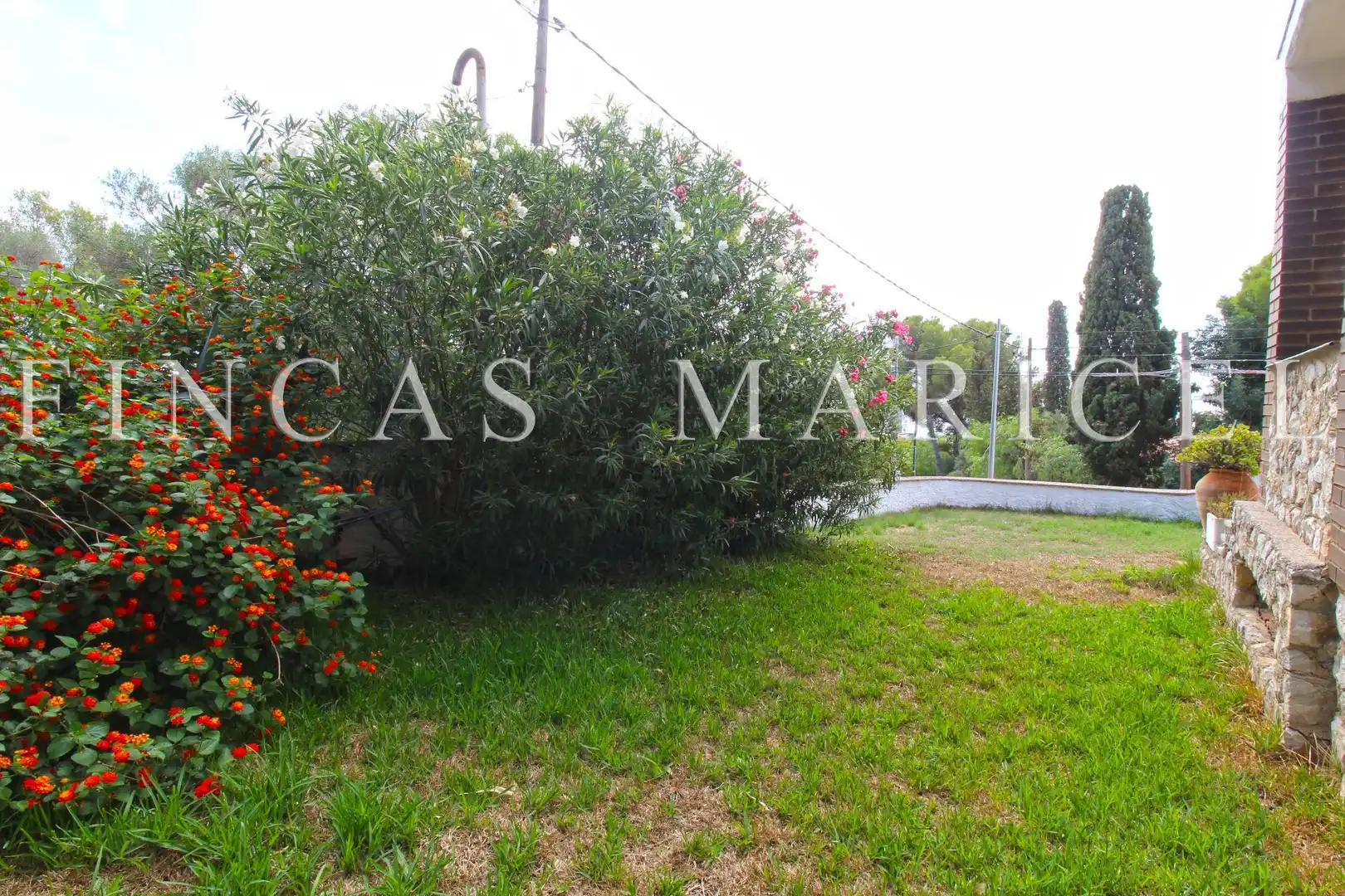 Maison avec jardin à vendre à Bellamar, imagen 51