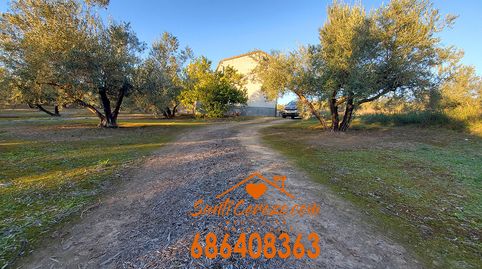 Casa de Campo para reformar, immagine 2