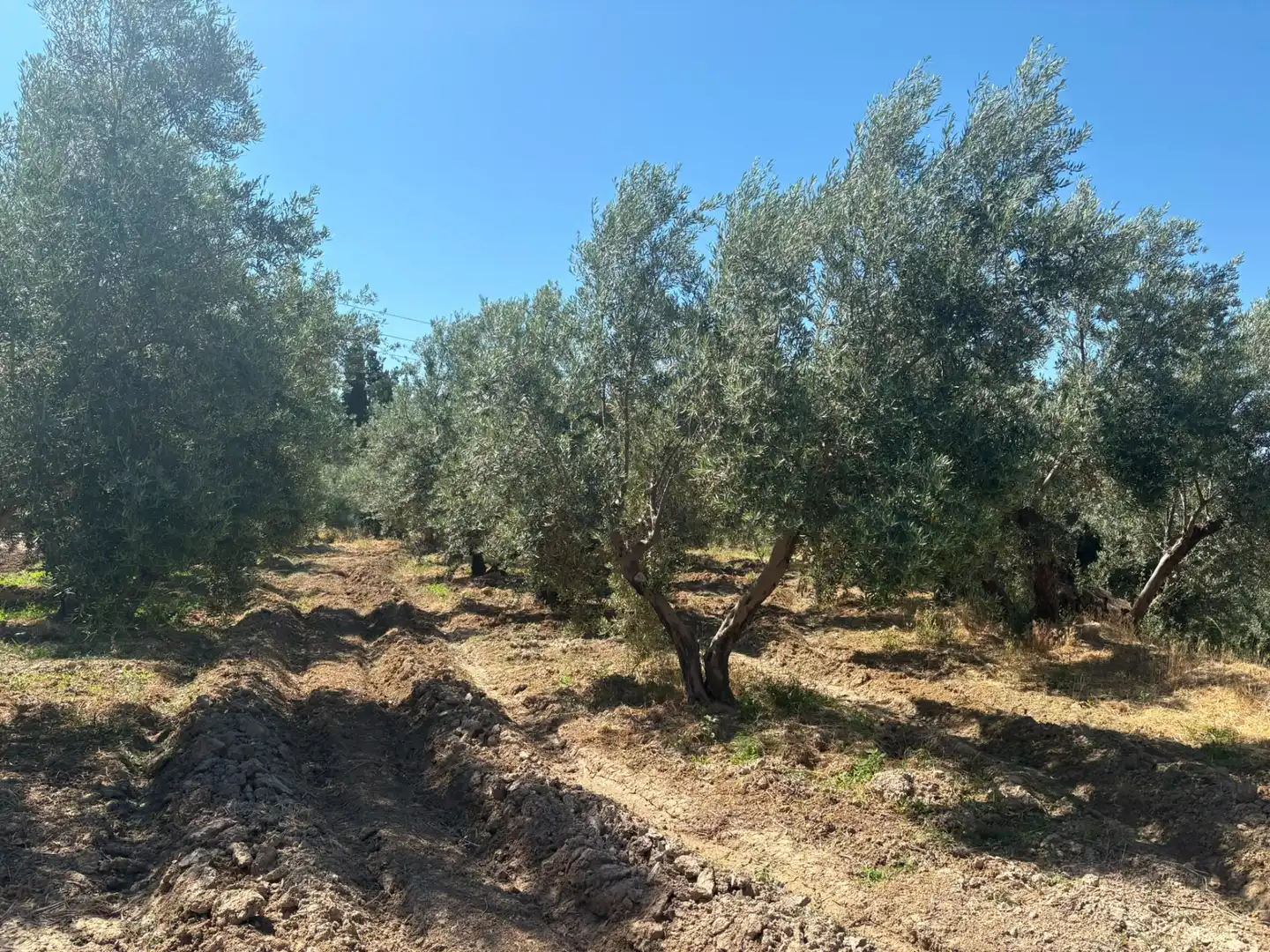 Terreno en venta en Hinojares
