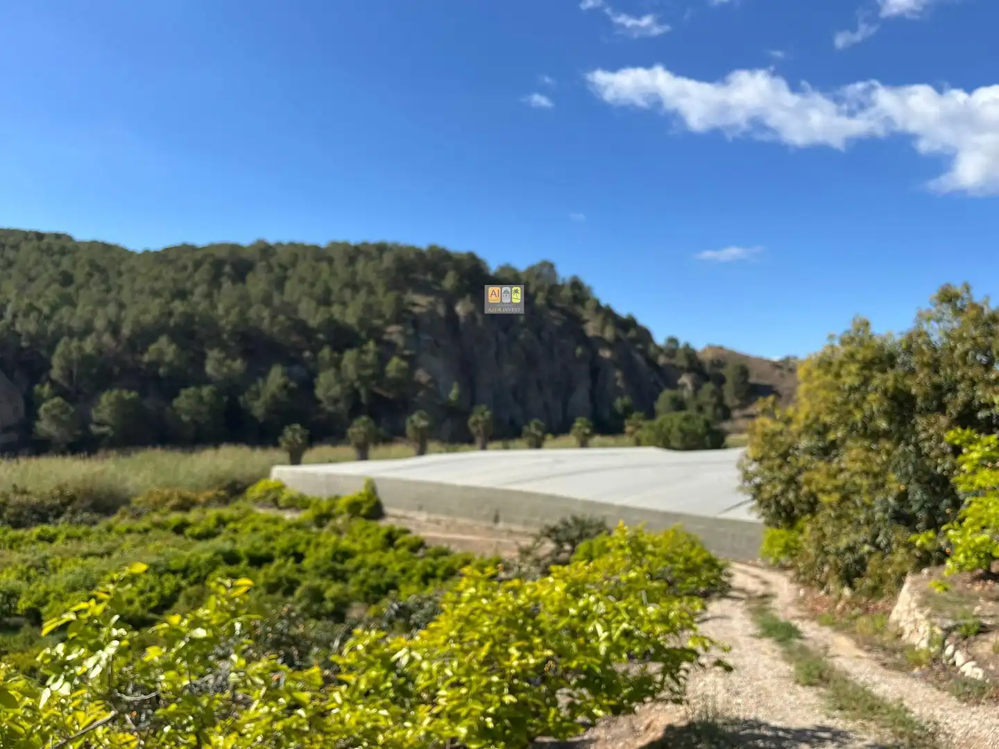 Finca rústica en venda a Callosa d'en Sarrià