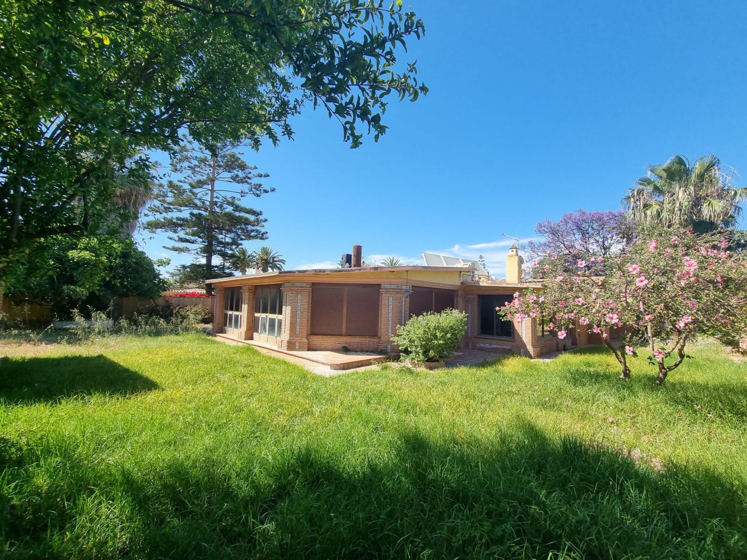 Garden of House or chalet for sale in Málaga Capital  with Private garden, Terrace and Swimming Pool