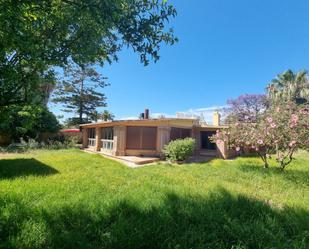 Garden of House or chalet for sale in Málaga Capital  with Private garden, Terrace and Swimming Pool