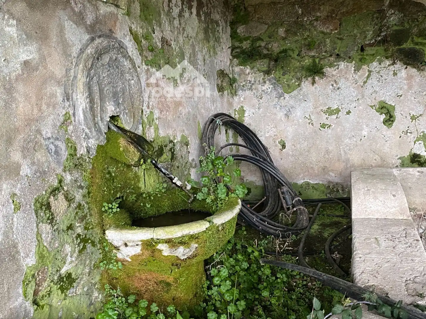 Garden of Buildings for sale in Pantón