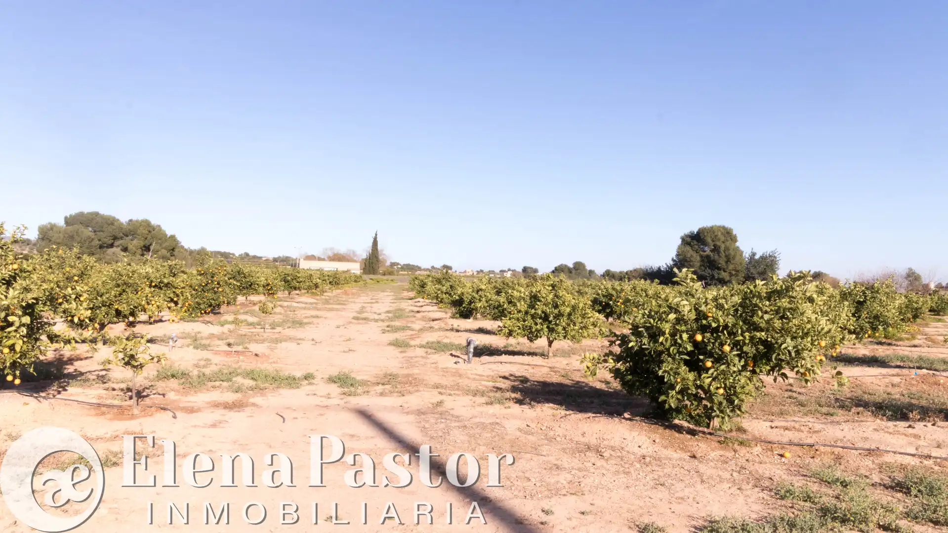 Terreno en venta en Bétera