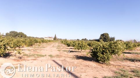 Foto 2 de Terreno en venta en Urbanizacion Pla de Andanes, Los Pinares - La Masia, Bétera