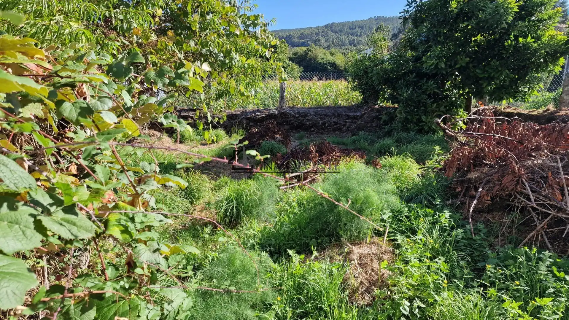 Haus mit Garten zum Verkauf in Cerdedo, imagen 11