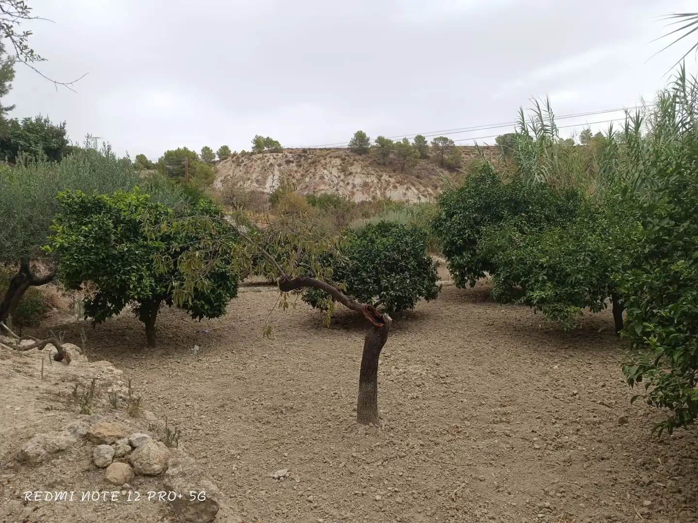 Haus zum Verkauf in Camino de la Balsa, imagen 31