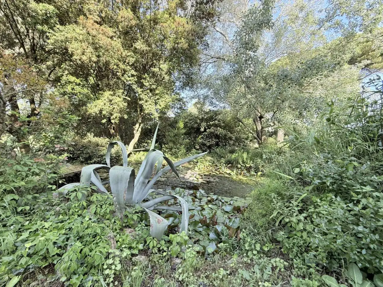 Garden of Houses for sale in Piera  with Heating, Private garden and Terrace