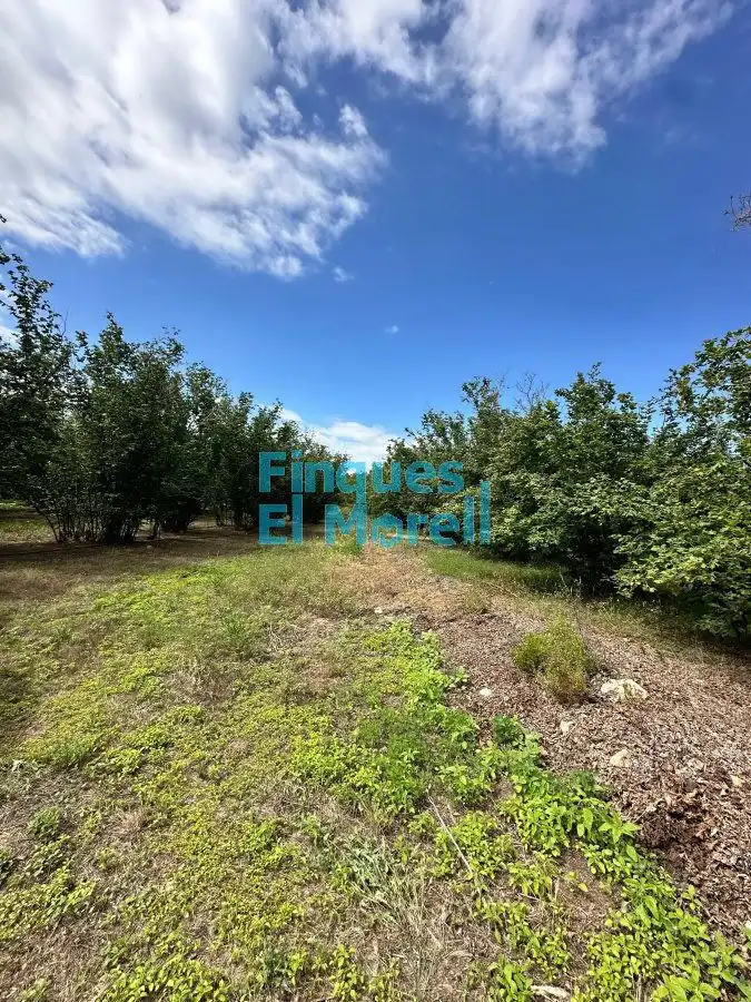 Finca rústica en venta en Vilallonga del Camp
