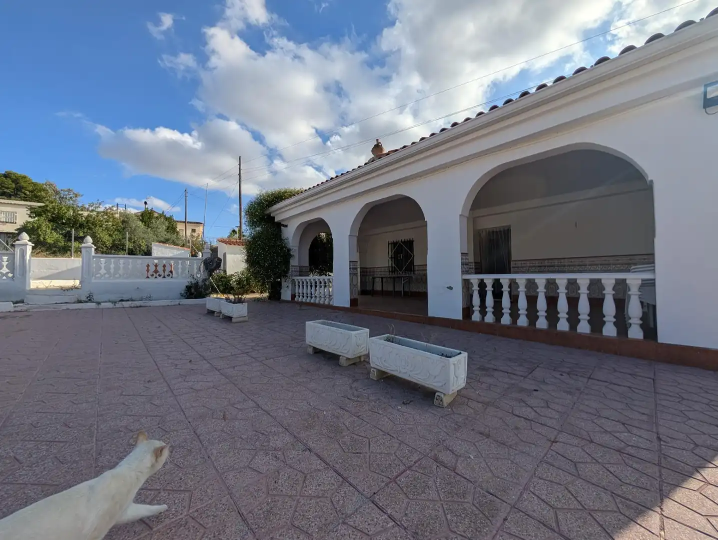 Vista exterior de Casa o chalet en venta en Aspe con Aire acondicionado y Piscina