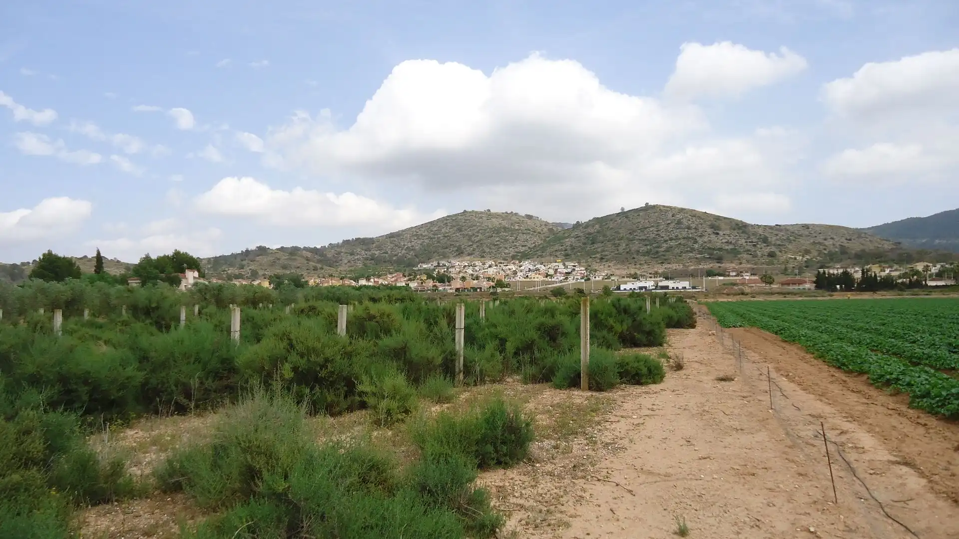Terreno rustico in vendita a Hondón de las Nieves / El Fondó de les Neus, imagen 6