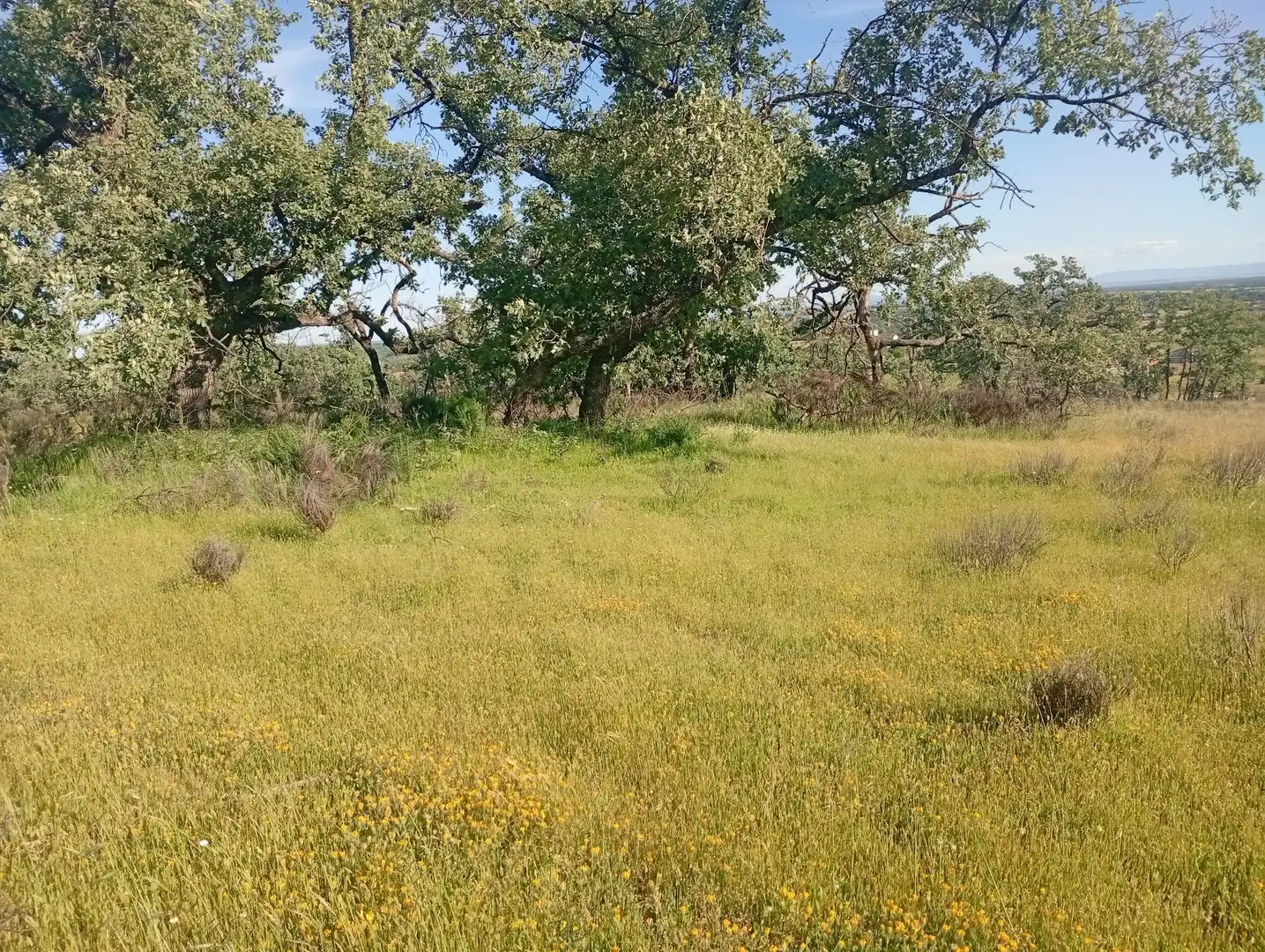 Terreni e lotti in vendita a Villanueva de la Vera, imagen 73