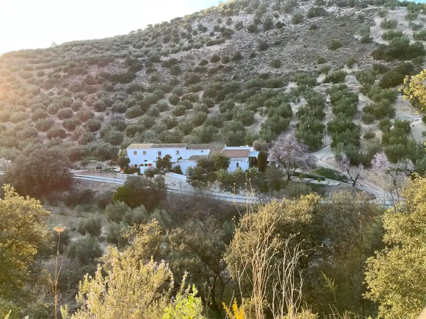 Vista exterior de Finca rústica en venda en Iznájar amb Aire condicionat, Piscina i Balcó