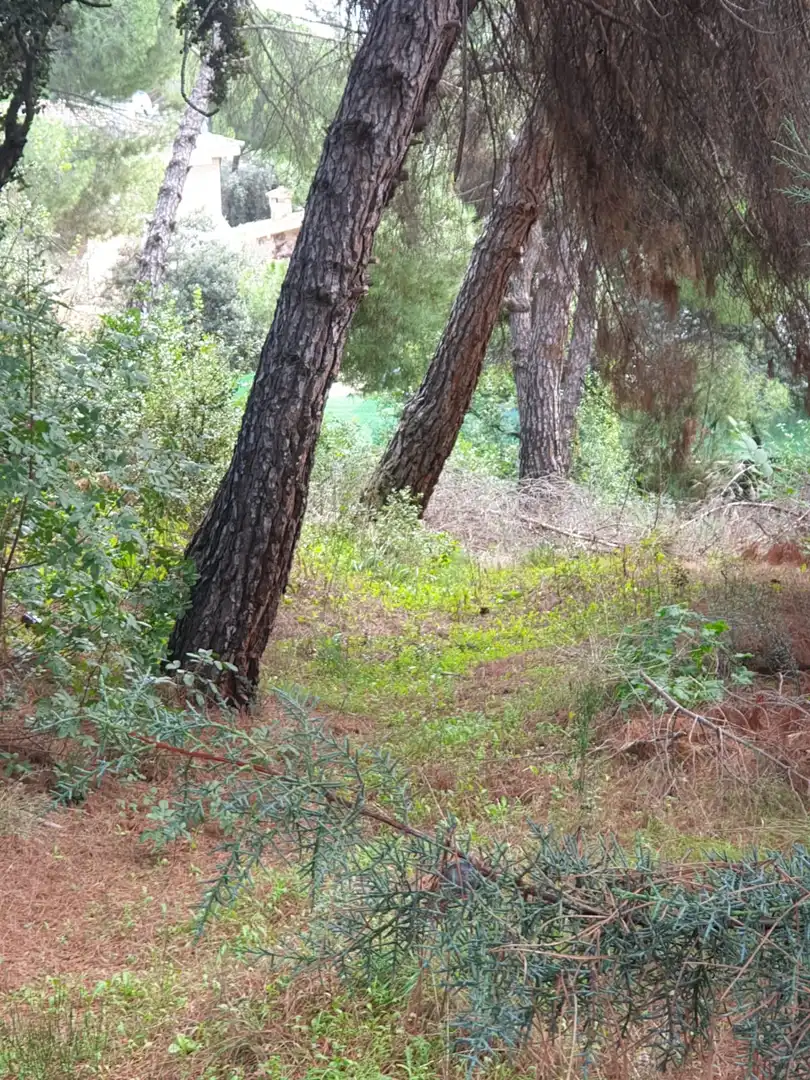 Residencial en venta en Pelayos de la Presa, Madrid