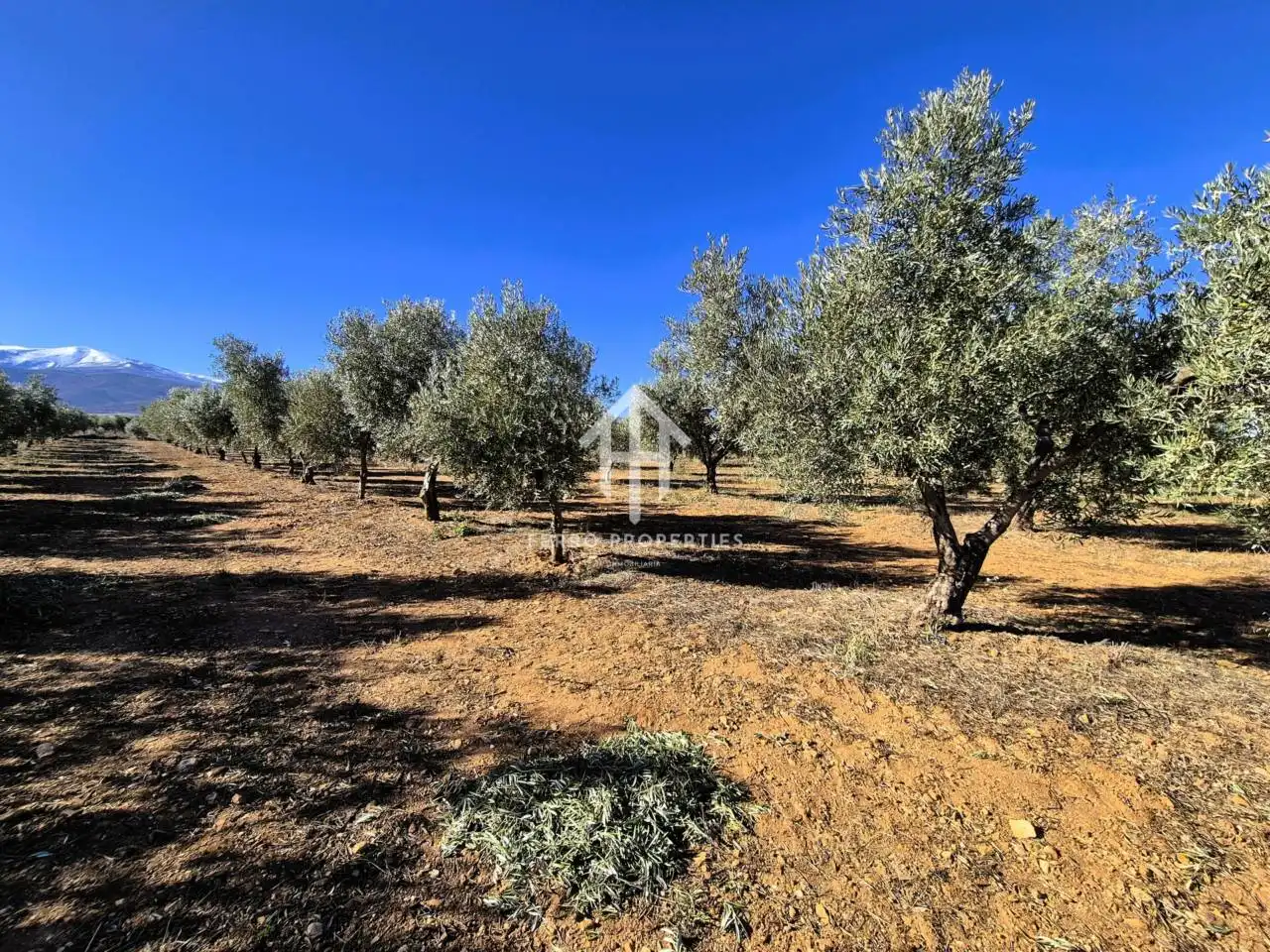 Lands and plots for sale in Lanteira, imagen 61