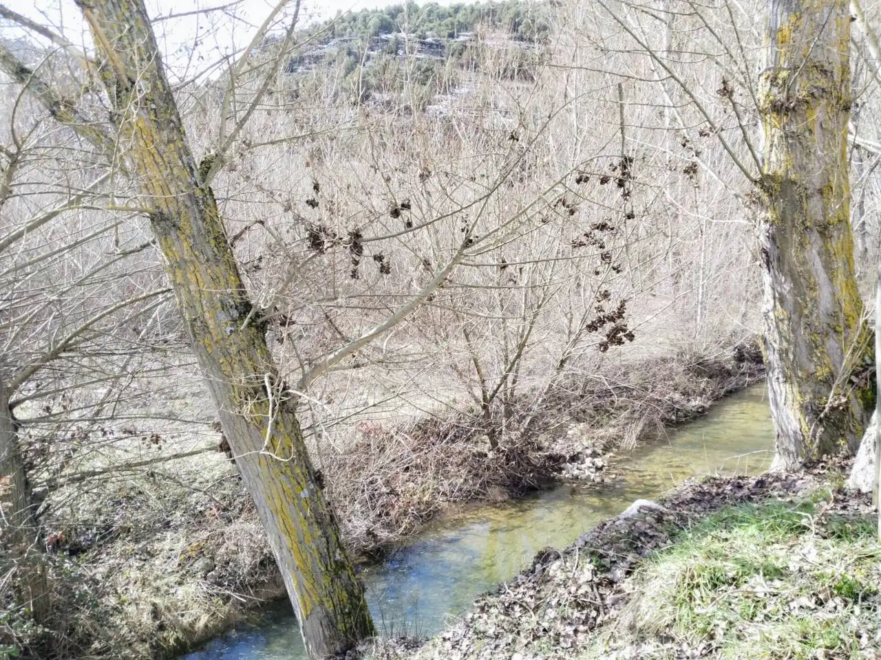 Finca rústica en venta en Covarrubias con Amueblado