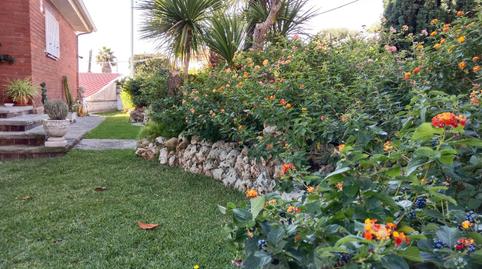 Foto 4 de Casa o xalet en venda a Santa Susanna, Barcelona