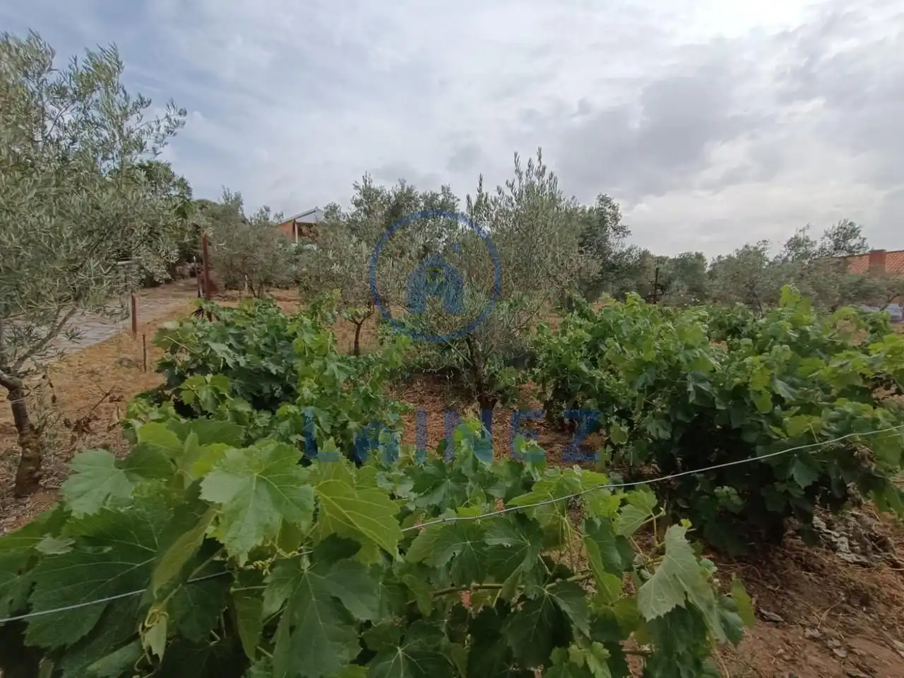 Residencial en venta en La Granjuela