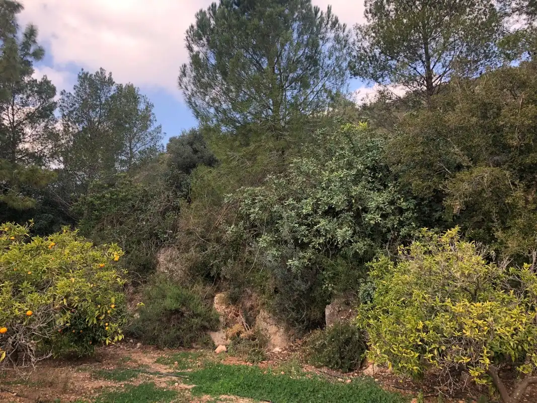 Finca rústica en venda en Vilallonga / Villalonga