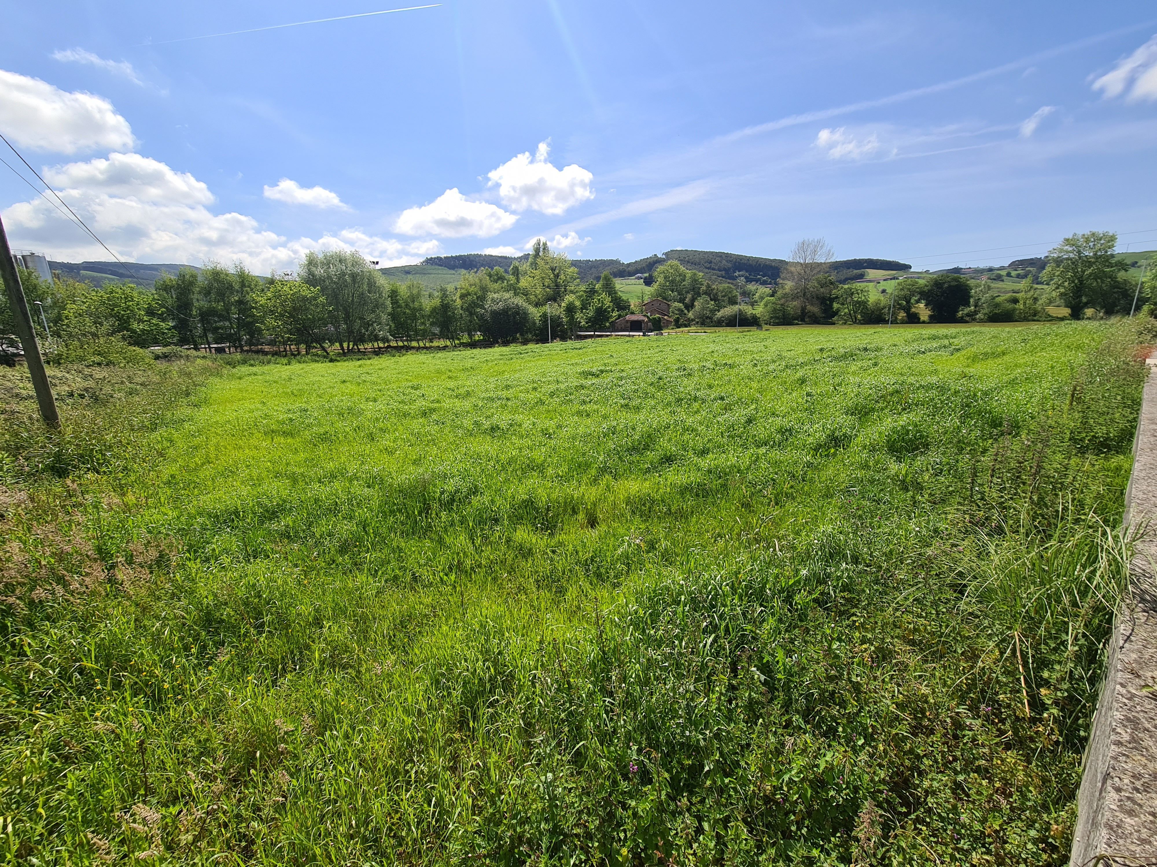 Industrial land for sale in Meruelo
