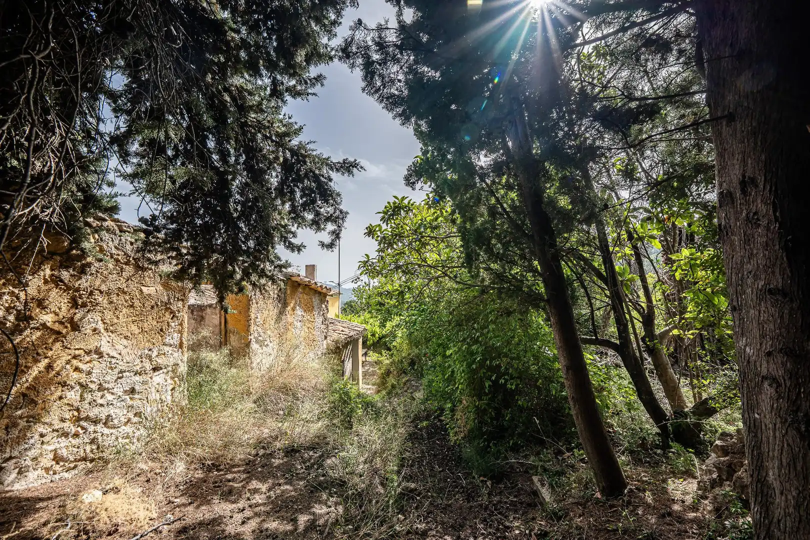 Finca rústica en venta en Moratalla con Piscina
