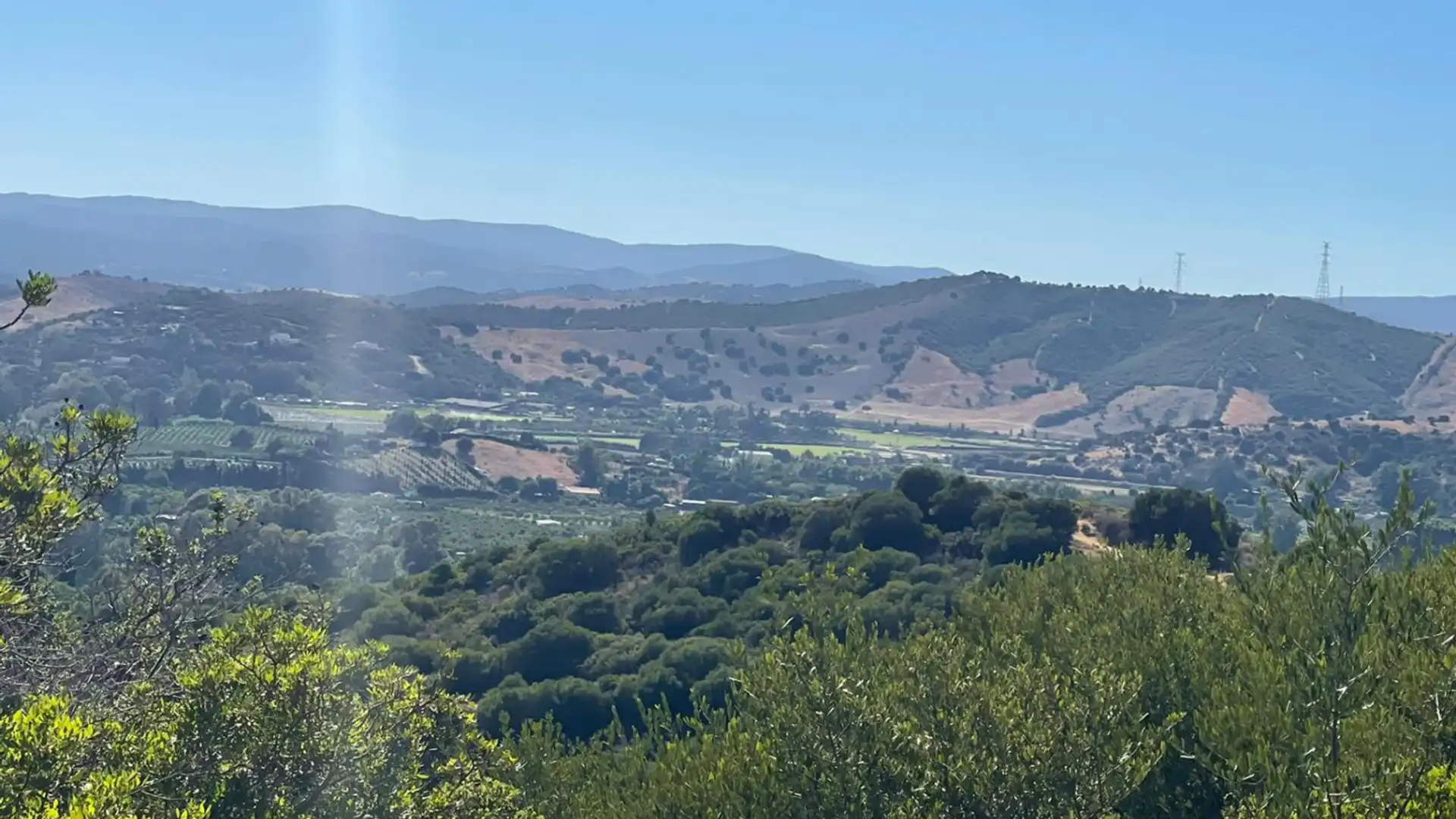Vista exterior de Finca rústica en venta en San Martín del Tesorillo