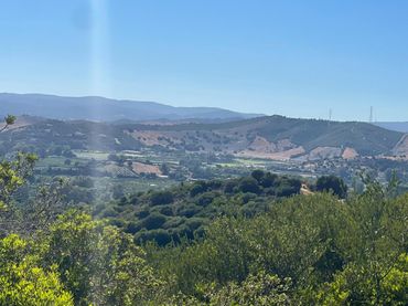 Maison rustique à vendre à San Martín del Tesorillo