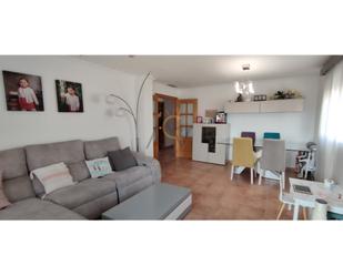 Sala d'estar de Dúplex en venda en La Romana amb Terrassa