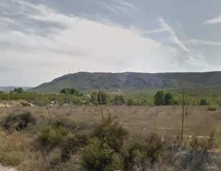 Land for sale in Cieza