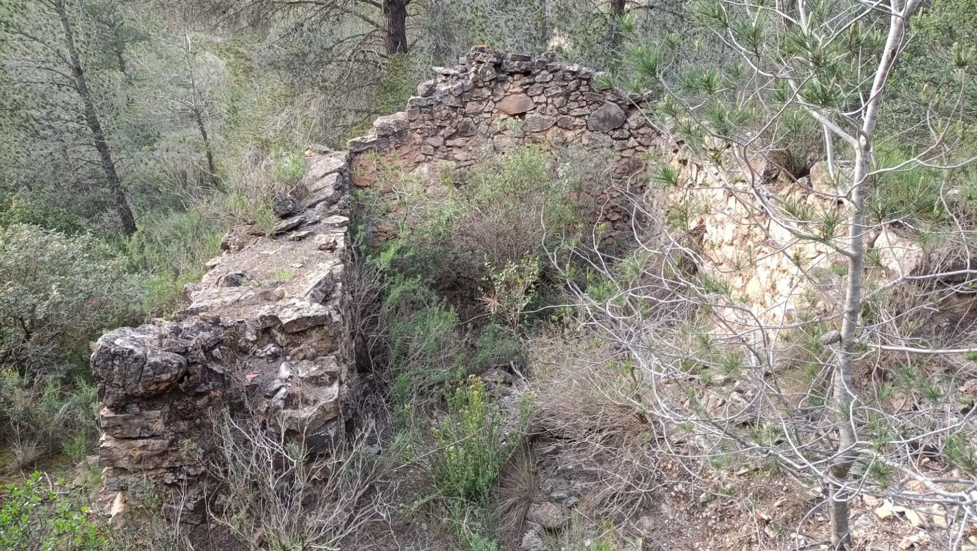 Terreno rustico in vendita a Móra d'Ebre, imagen 7