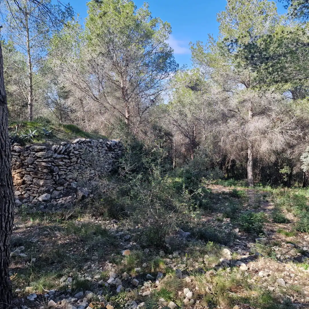 Terreno residencial en venta en Carrer Gessamí 18, imagen 26