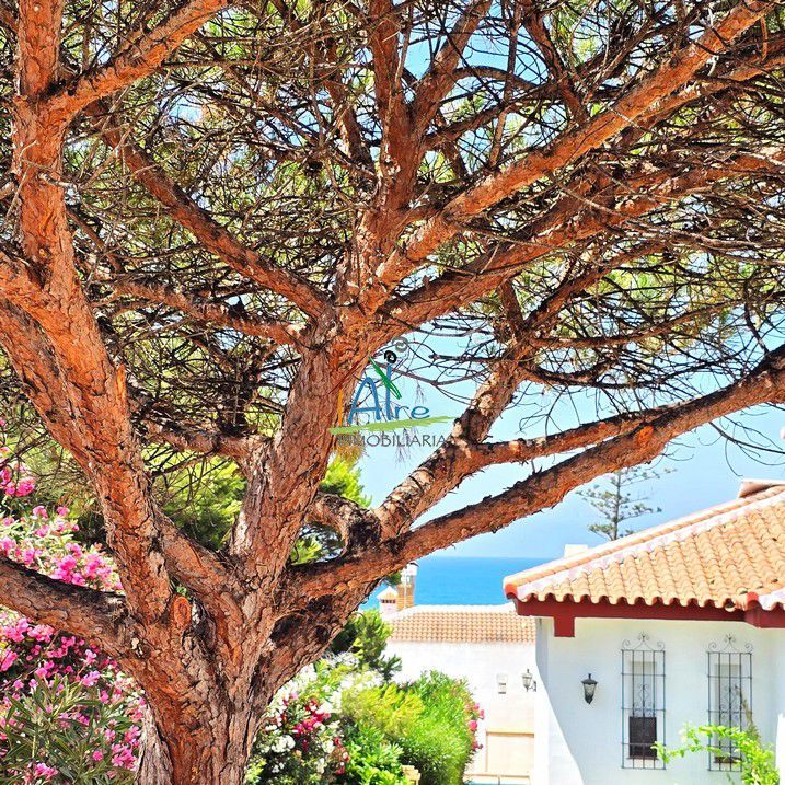 Vista exterior de Casa o chalet en venta en Almonte con Calefacción, Jardín privado y Terraza