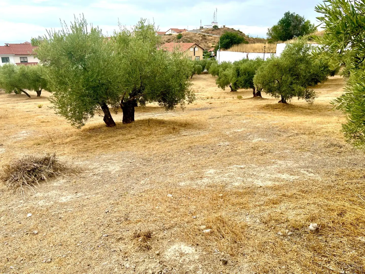 Rustikales Grundstück zum Verkauf in Nívar, imagen 12